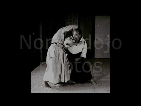 [Daito-ryu][Ueshiba-ha][大東流合気柔術][植芝派] Noma dojo series 5