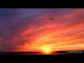 Quotes Video Soul Tone In Morning Time WhatsApp Status Quotesvideo