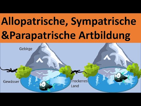 Allopatric, sympatric, and parapatric speciation [Biology, Evolution, Advanced Level]