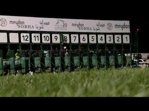 19.02.2015 Meydan (Dubai/UAE) 2.Race Meydan Sobha Turf - Handicap 1.000 m
