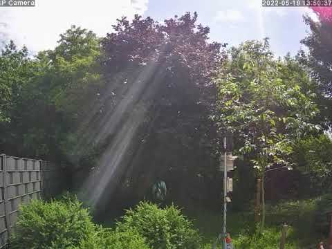 2022-05-19 Webcam II