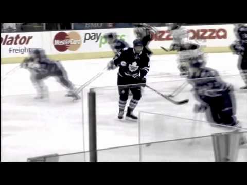 2010-2011 Toronto Maple Leafs Highlights (HD)
