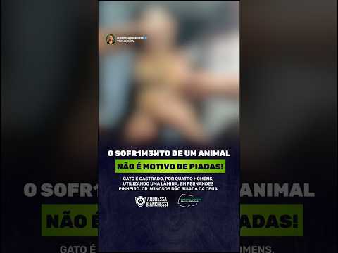CRUELDADE SEM LIMITES NO PARANÁ!