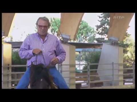 Die Bilderwut des italienischen Fotographen Oliviero Toscani / (in German)