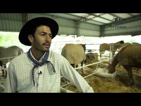 La Criolla por TV Ciudad - Oficios - El apadrinador