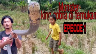 Download lagu MONSTER KING COBRA DITEMUKAN DI PURWAKARTA !!! (Part 1) mp3