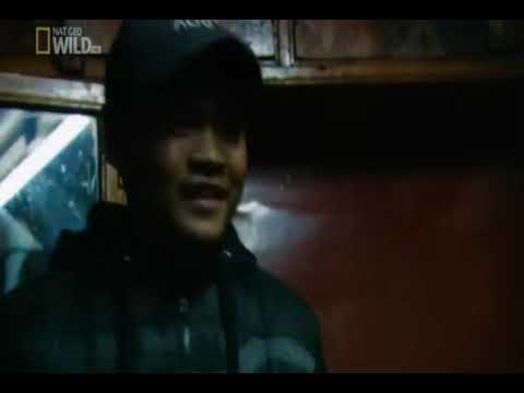 Yeti - poszukiwania wielkostopego człowiekowatego