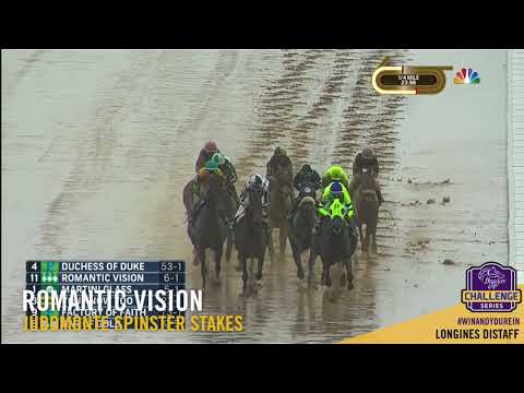 2017 Juddmonte Spinster Stakes - Romantic Vision