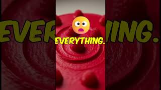 Download lagu I Genuinely Feel Bad For Him.. 😭😂 sound: @tyler.vitelli #comedy #funny #satisfying #shorts mp3