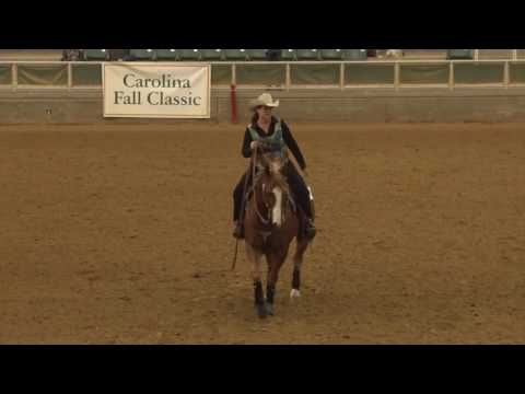 161030 Terri Taffer on FS Lighten up Gunner Green