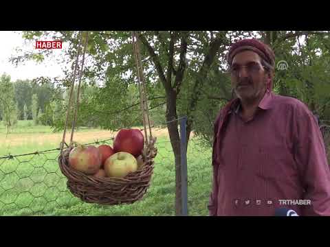 BİNGÖLLÜ ÖMER ÇAKIR'IN GÖZ HAKKI SEPETİ, HER TÜRLÜ TAKDİRE DEĞERDİR.