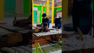 Download lagu Bocah Ajaibnya Jathilan Puspito Sadar yang Multitalenta 😁👍 #shorts #saron #kendang #anak #gamelan mp3