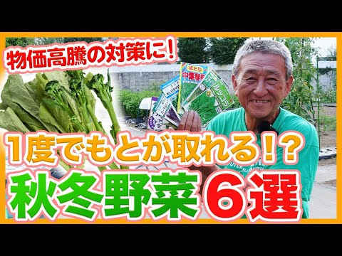 , title : '家庭菜園や農園の秋冬野菜栽培で１度でもとが取れる！？物価高騰対策にも！費用対効果の高い秋冬野菜６選！【農家直伝】/6 autumn/winter vegetables with high yields'