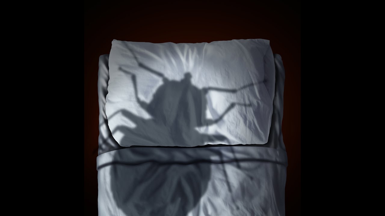 Try This CostFriendly DIY Bed Bug Solution At A Low Price After Reading This Review