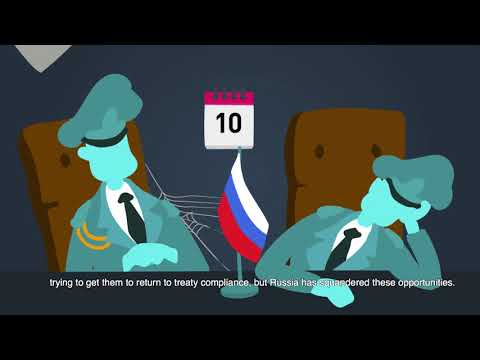 What is the INF Treaty?