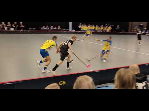 230105 SDF-SM 💥💯🏑👍👏P16 Period 3 Gävleborg- Västsvenska