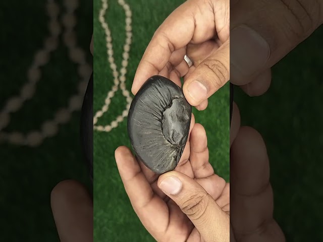 Lakshmi Surya Lord Vishnu Shaligram Shila video