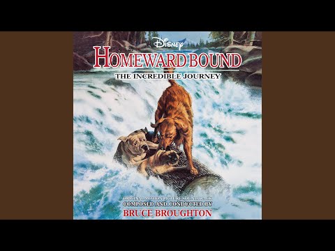 Homeward Bound