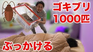 衝撃 閲覧注意 エキスポランド事故 女性がジェットコースターでミンチになった事件 ヤバすぎ 画像あり 閲覧注意 أفضل موقع لتشغيل ملفات Mp3 مجان ا