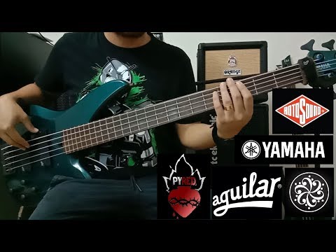 Aguilar DCB G5 pickups & Darkglass Electronics Tone Capsule preamp