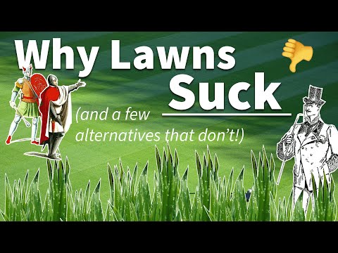 Why Lawns Suck (And A Few Alternatives That Don't)