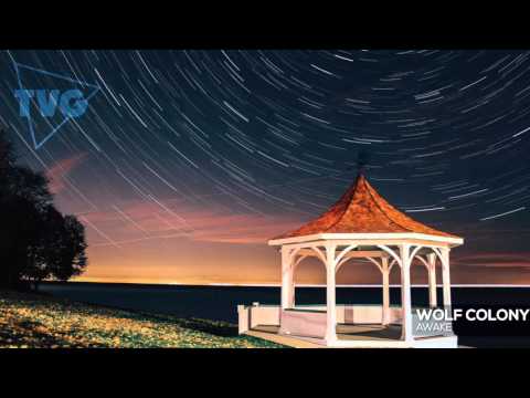 Wolf Colony - Awake
