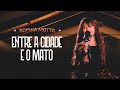 Sophia Motta WLM Entre A Cidade E O Mato Modo Resenha Boston