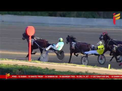 VII Corsa del 4 Febbraio 2023 - 4 Anni - Metri 1600