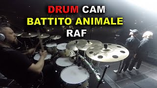 IL BATTITO ANIMALE - RAF