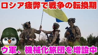 【ペンギン閣下】「戦争」と「戦場」の転換期の違い【国際情勢】