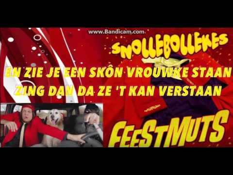 Snollebollekes - Feestmuts + Songtekst