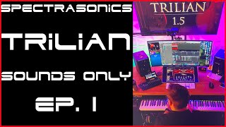 Spectrasonics Trilian Total Bass Module - What To Know Spectrasonics Trilian Total Bass Module - What To Know