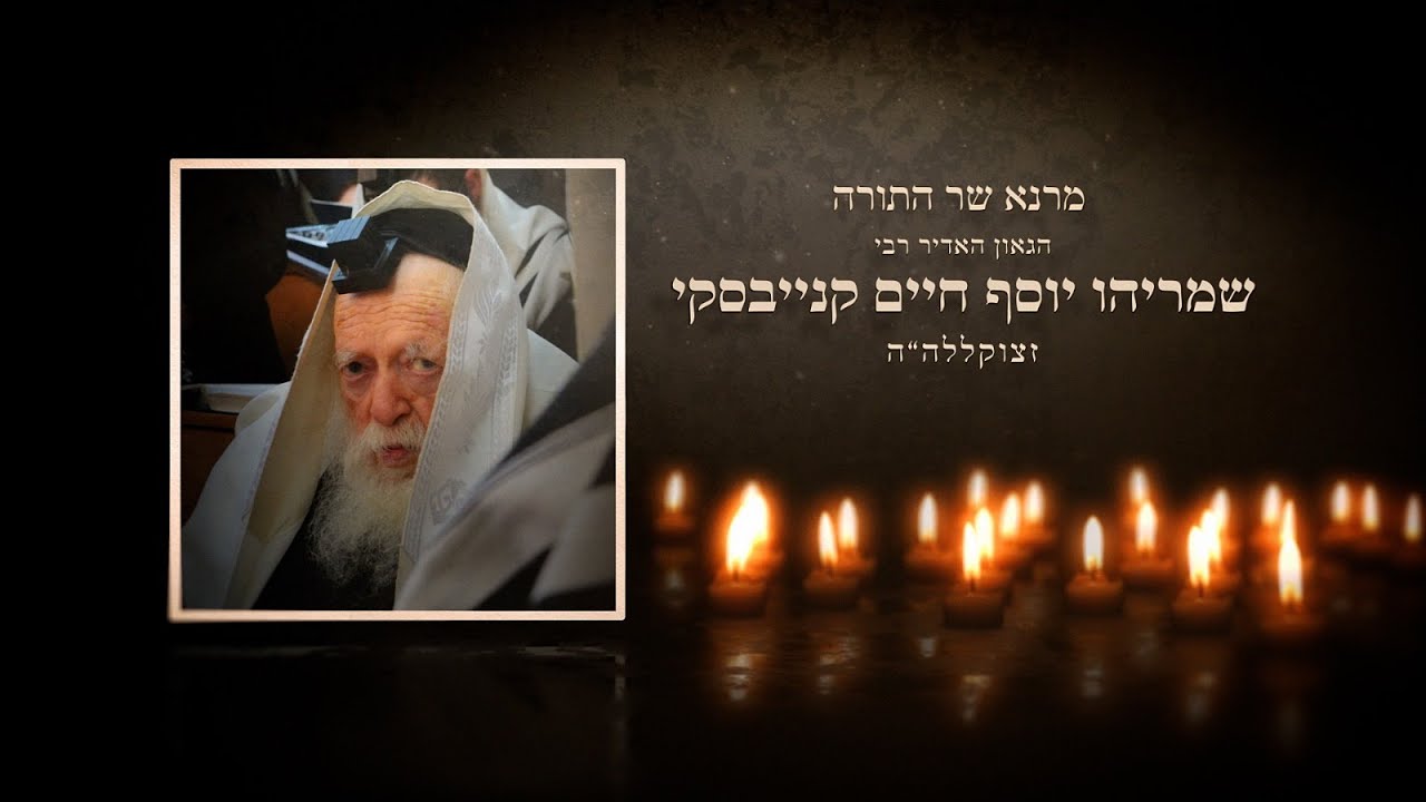 מצמרר | עופר הלוי | לעוף גבוה | צפו