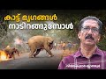 കാട്ട് മൃഗങ്ങൾ നാടിറങ്ങുന്നത് എന്തു�