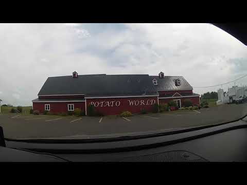 yes the one and only potato world nb2022