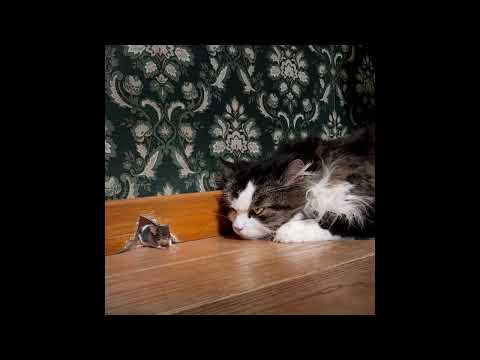 Dječje pjesmice / recitacije - IŠ, IŠ, IŠ