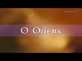 O Oriens – The O Antiphon Reflections from Fr. Giles Dimock, O.P. – Discerning Hearts Podcast