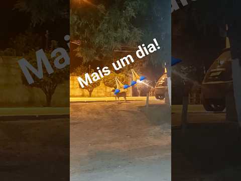 São Fidélis- RJ