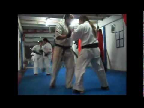 Kyokushin Budokai Chile