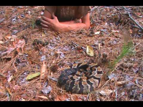 YouTube Video cj20O61XTtI