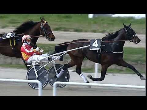 Napoli Trotto 10/03/2023 - 3ª corsa