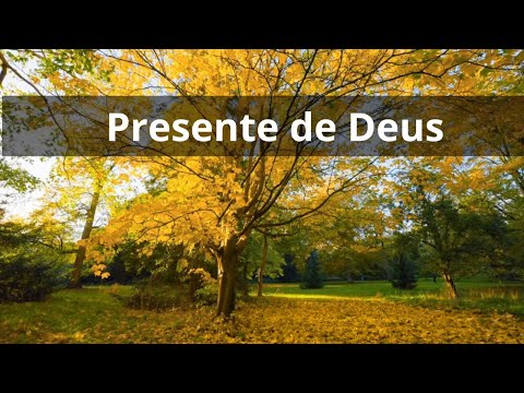 Gift from God - Spiritual Moment