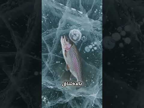 لا تحكم قبل أن تعرف الحقيقة!