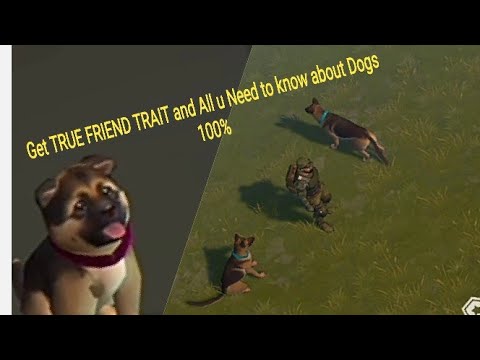 How To Get True Friend Trait ? Last Day On Earth