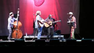 Grateful Dawg - Painted Mandolin at Strawberry