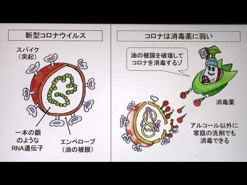 WEBセミナー「イラストで理解する新型コロナウイルスの感染対策」