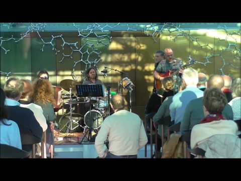 Andrea Dessì guitar solo Marea & J.Girotto Veneto Jazz "La Bella Strings"