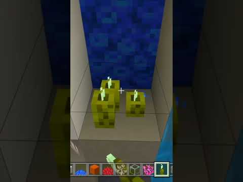 Insane Minecraft Potion Aquarium Build! #shorts