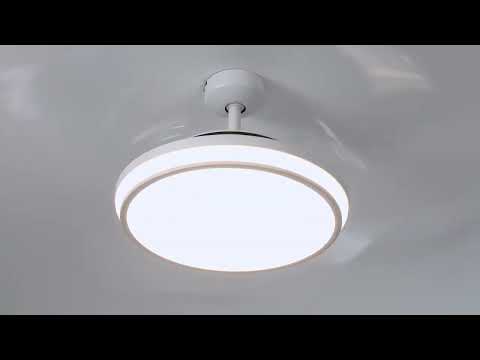 FANAWAY - LED Ceiling fan EVO1 + remote control