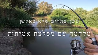 דיג - מלחמה עם מפלצת בירדן | סשן צהרים מלא באקשן של ביניות 2025.